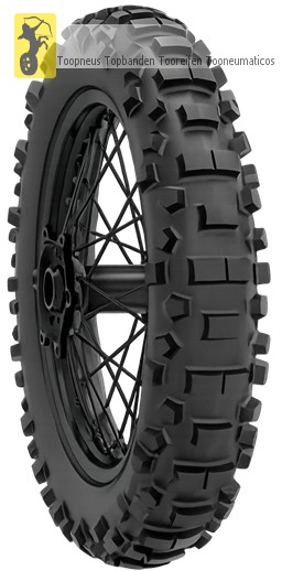 X STAR 01 EVO